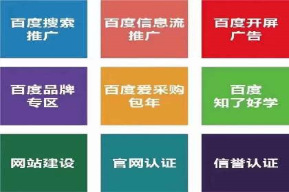 精准投放，高效转化——SEM竞价优化案例集